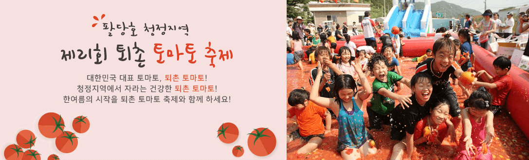 토마토 축제