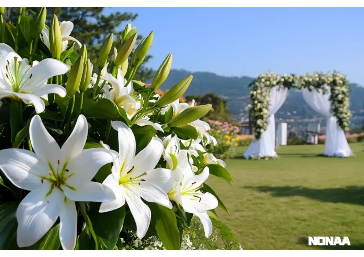 결혼식 참석 못할 때 - 축의금 전달 시기와 타이밍