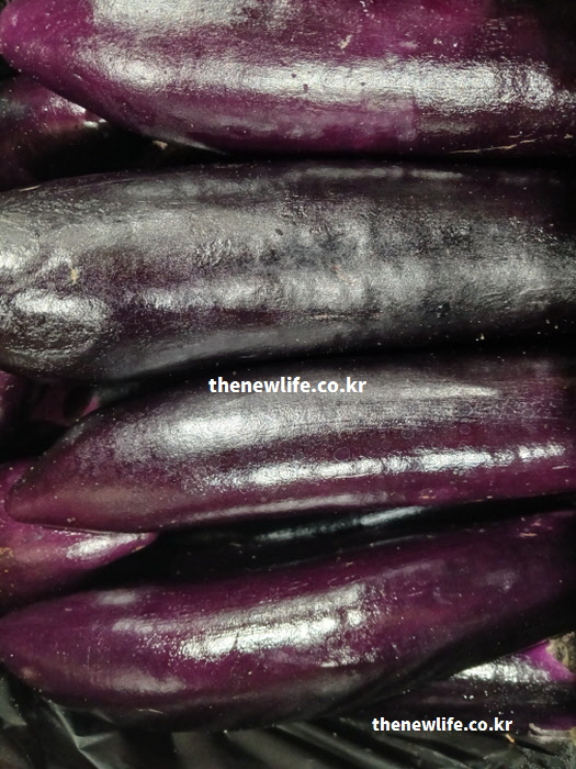 당뇨에 좋은 음식 보라색 껍질이 선명한 싱싱한 가지 채소 실물
