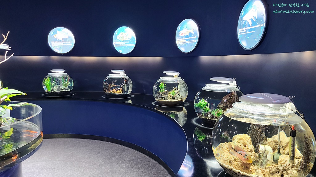 삼척-민물고기전시관