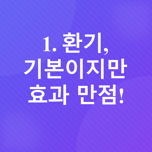 새 가구 냄새 제거_4