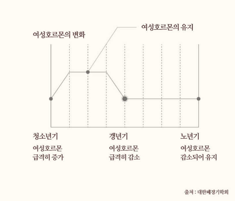 여성 월경 전 증후군 갱년기 약 영양제 비아노스 우먼 (효능&#44; 부작용&#44; 후기)