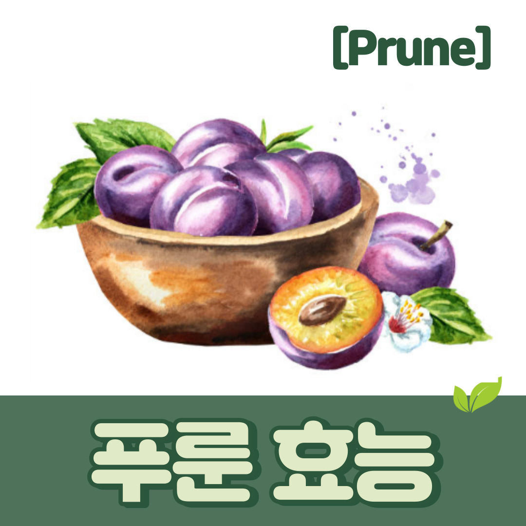 푸룬