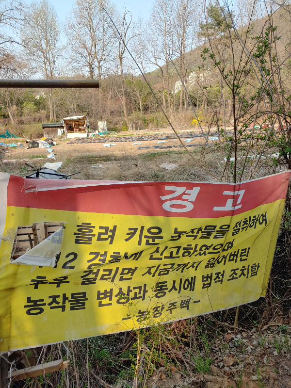 계란-마을-신천동