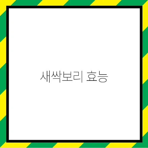새싹보리 효능