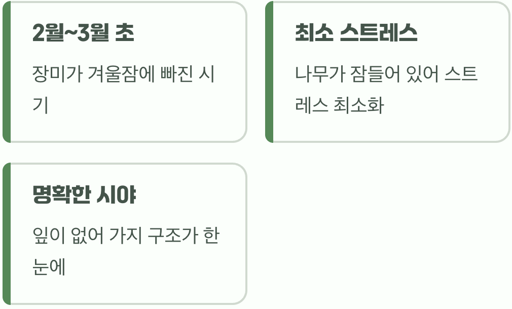가장 중요한 황금 시간, 겨울잠 잘 때