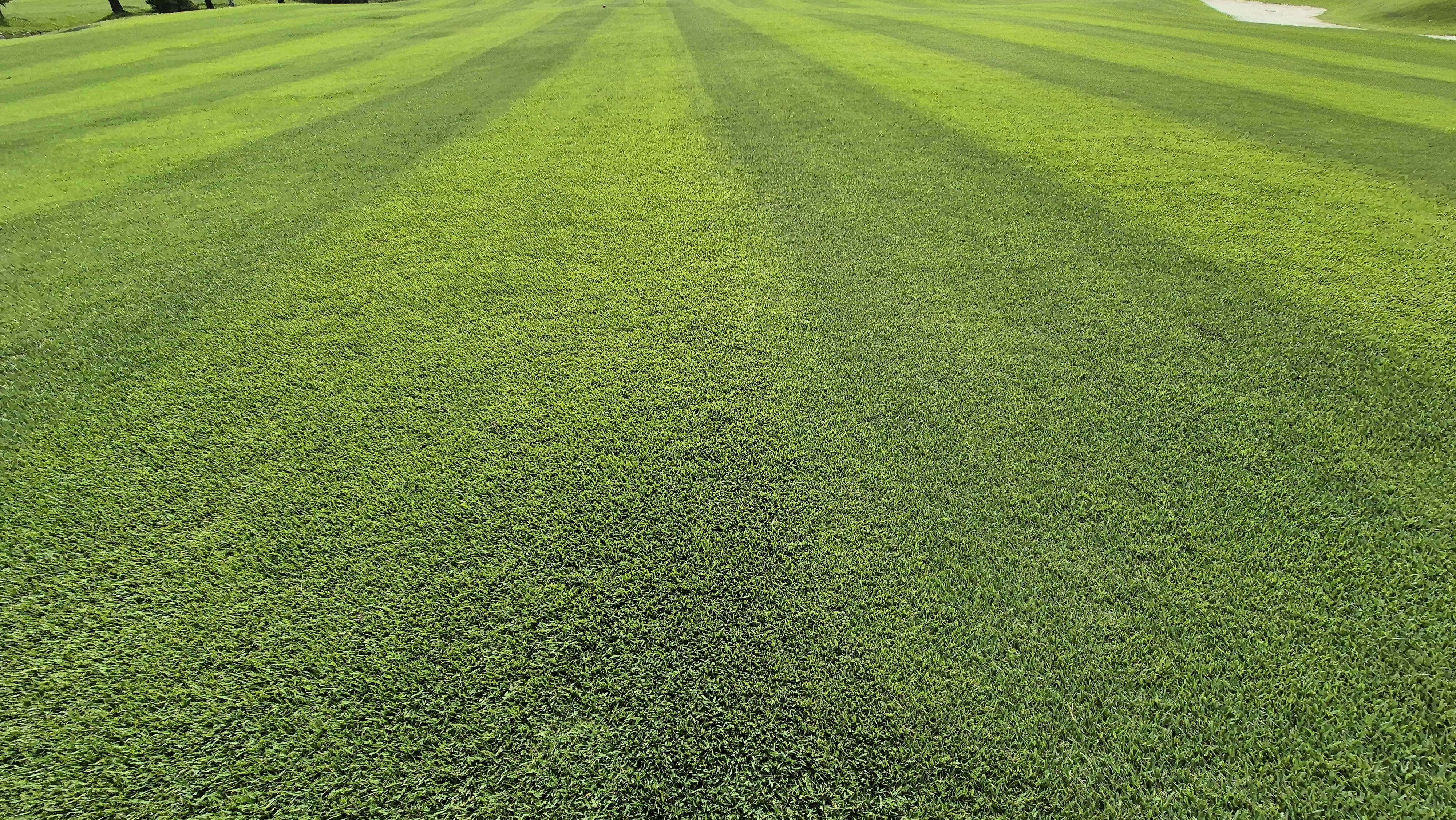 동원썬밸리cc 라운드 후기