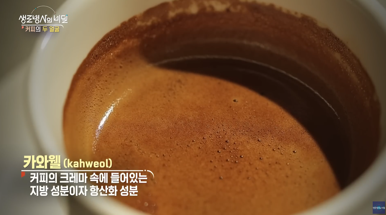 생로병사의비밀 건강하게커피마시기 각성효과 카페인 아데노신 카와웰 항암효과 당뇨병 항산화력