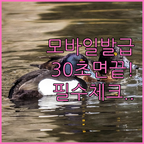 직장인 사업자용 국민연금 가입증명서 ..