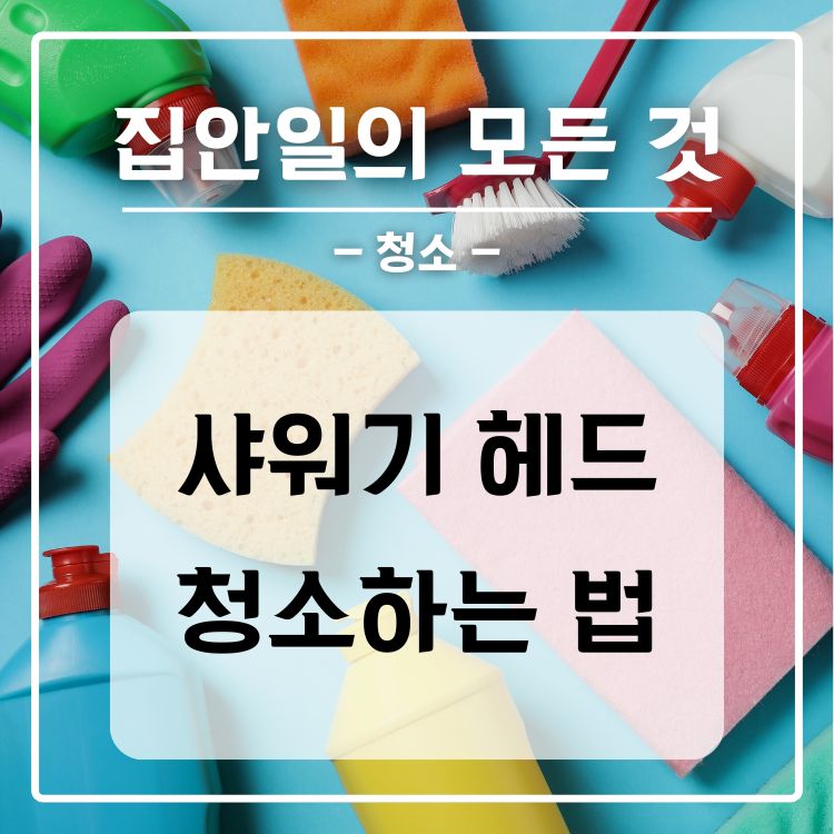 샤워기 헤드 청소