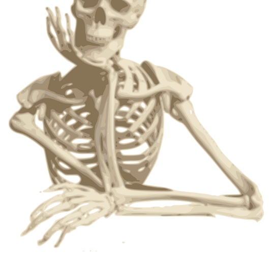 인체의 관절 뼈 관련 이미지