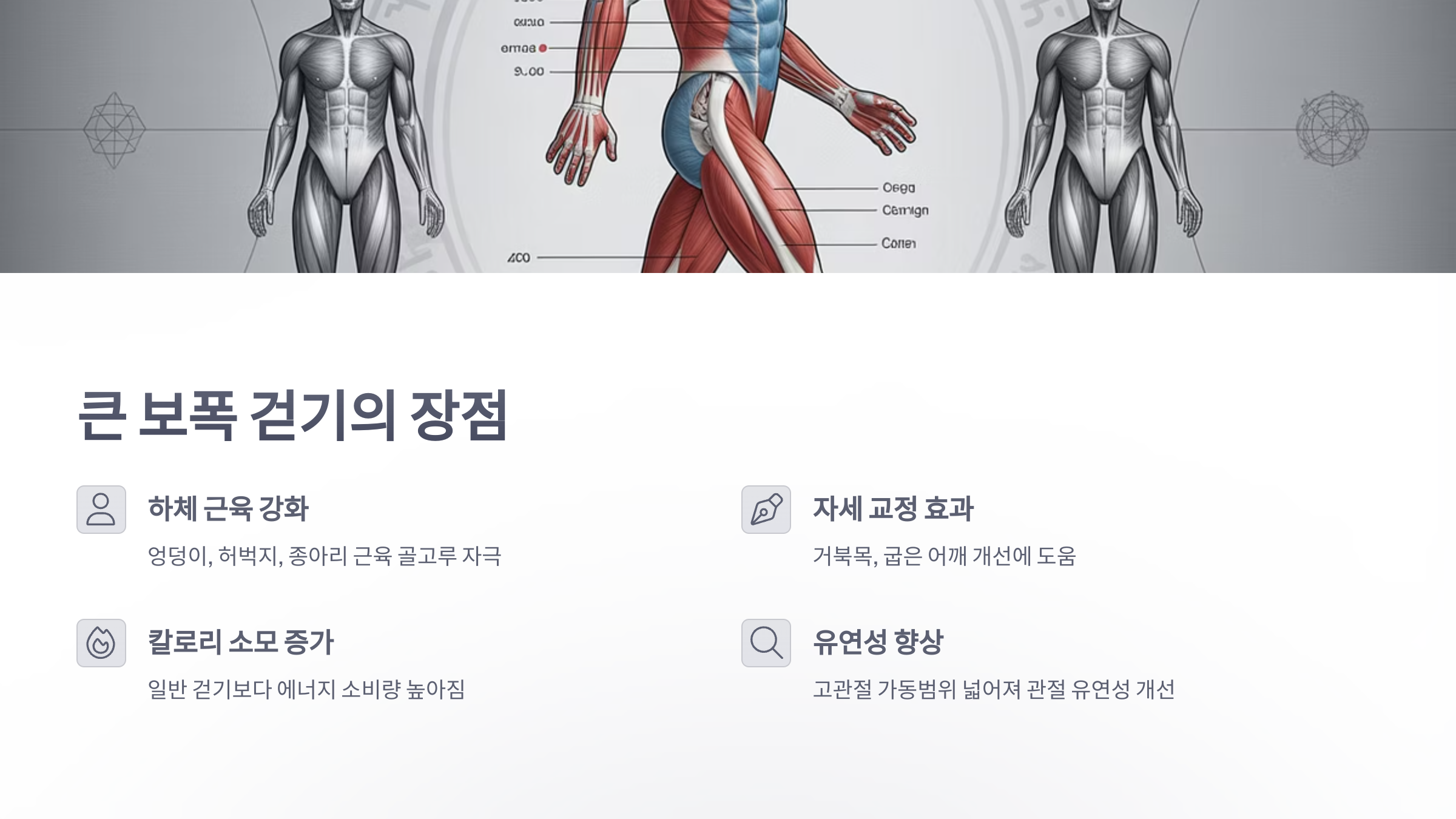 참조-큰-보폭으로-걷기-운동-2