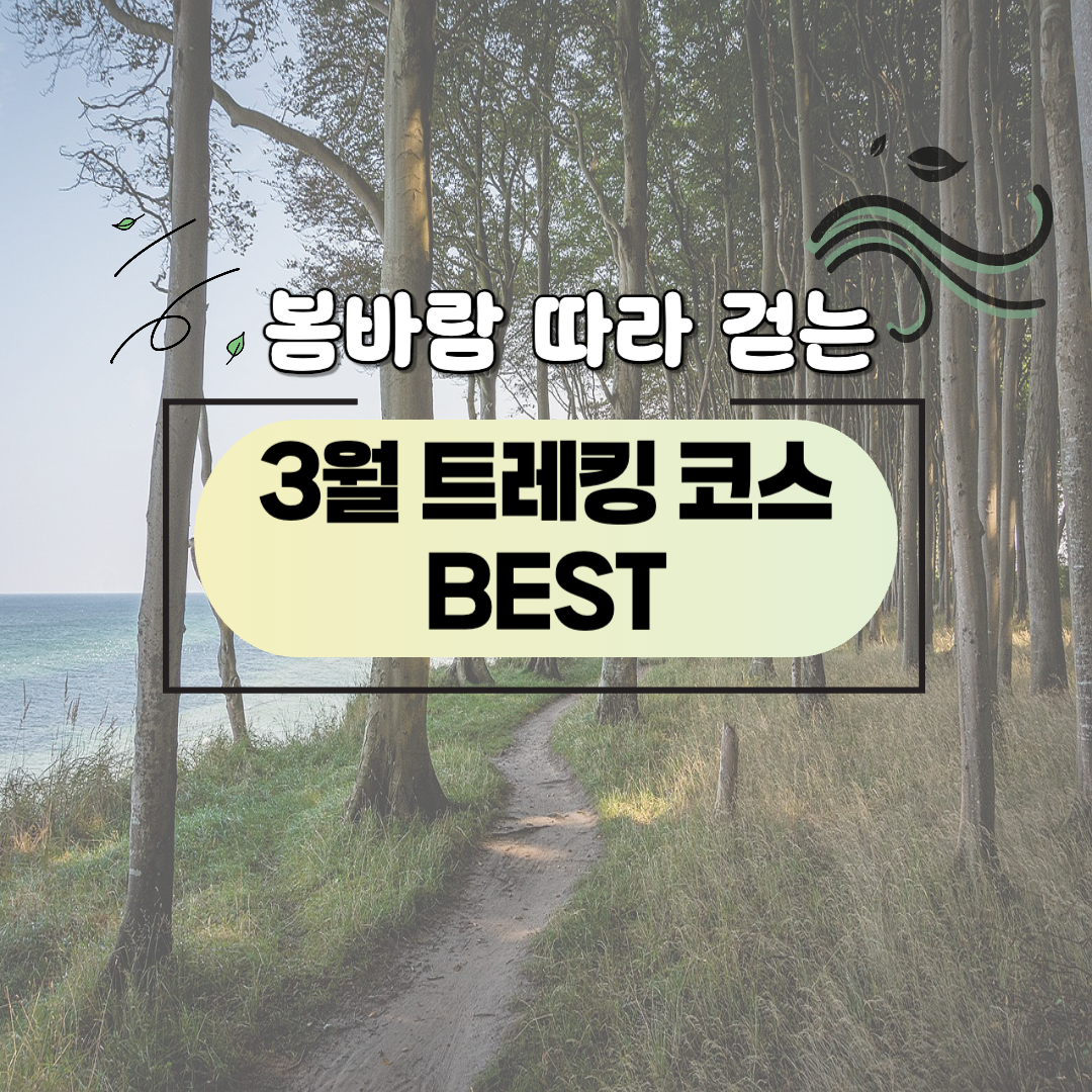 봄바람 따라 걷는 3월 트레킹 코스 BEST 관련 사진