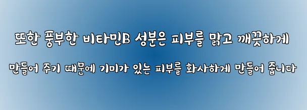  또한 풍부한 비타민B 성분은 피부를 맑고 깨끗하게 만들어 주기 때문에 기미가 있는 피부를 화사하게 만들어 줍니다