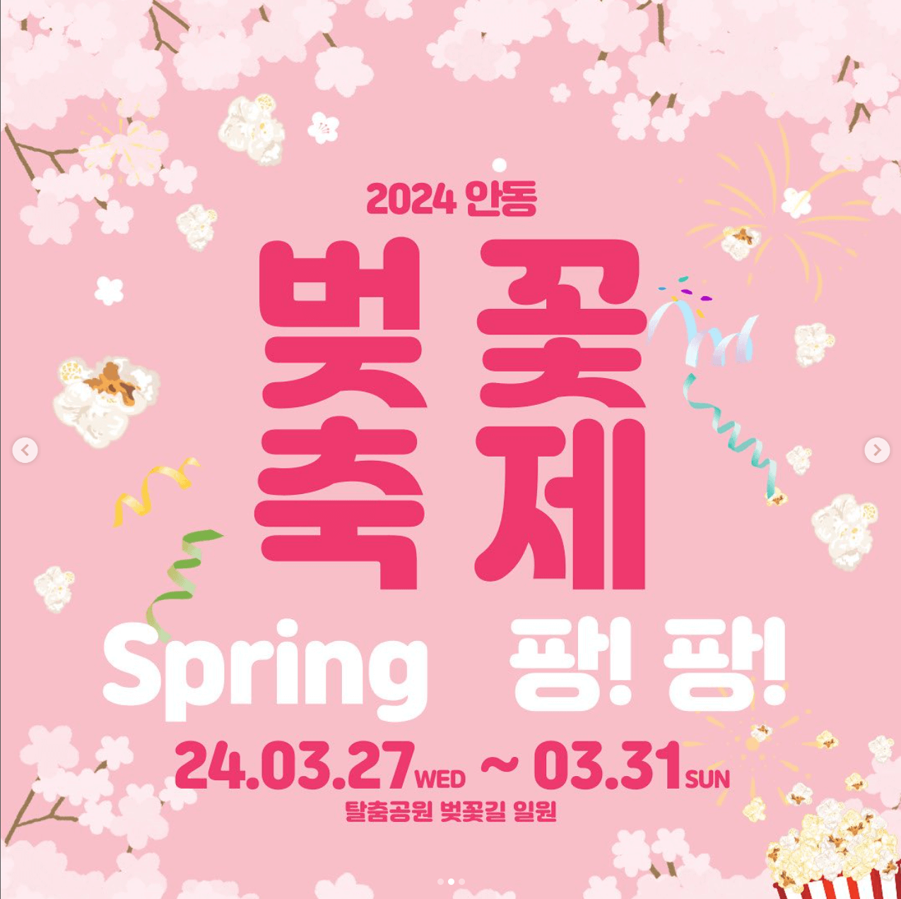 안동벚꽃축제