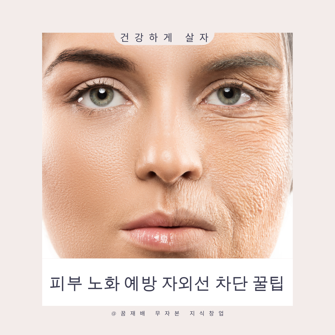 피부 노화 예방
