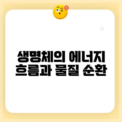 생명체의 에너지 흐름과 물질 순환