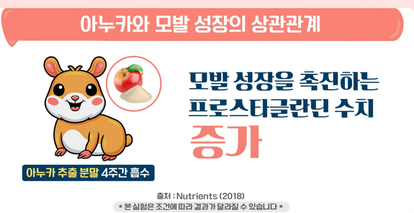 아누카사과 효능