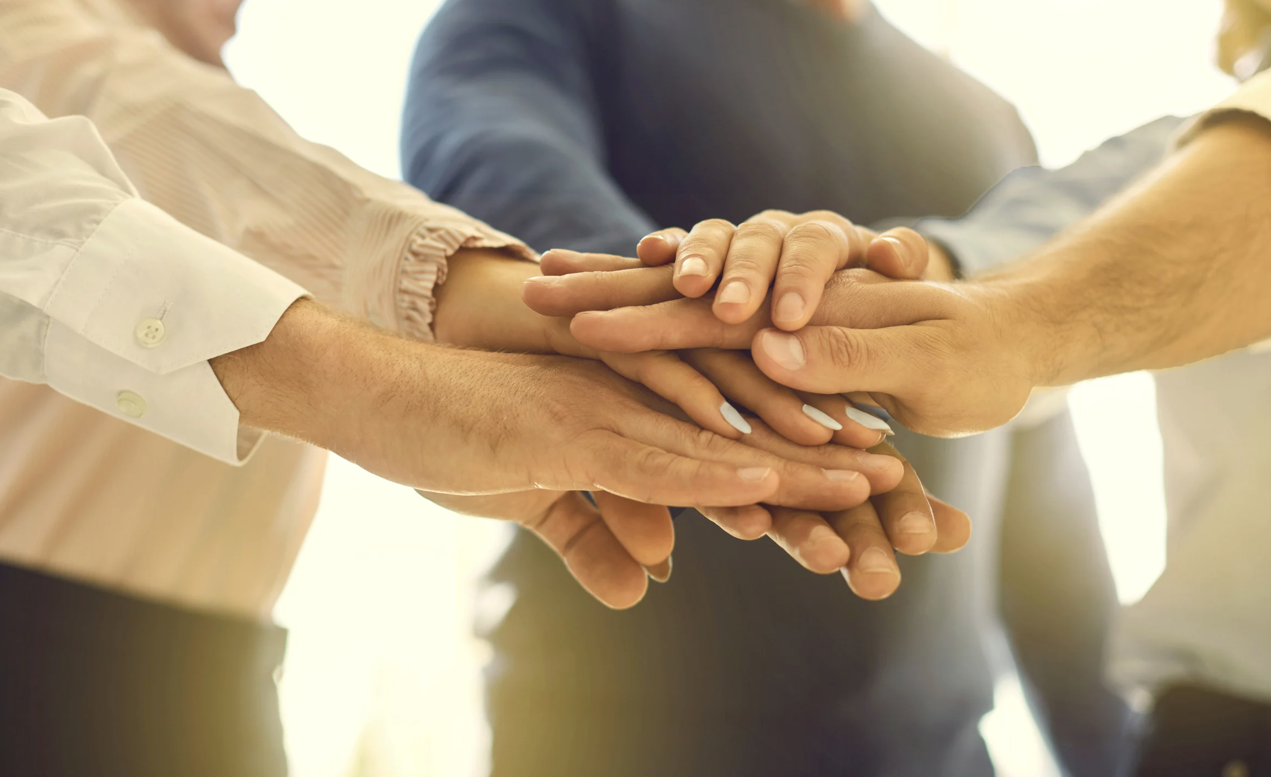 화이팅을 위해 손을 모은 모습