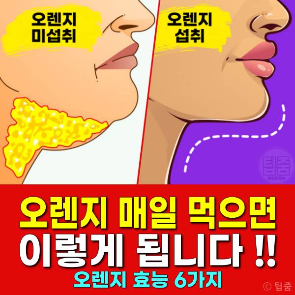 오렌지 매일 먹으면 오렌지효능 다이어트 턱살 빼기