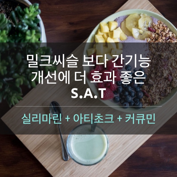 [건강식품] 밀크씨슬 보다 간기능 개선에 더 효과 좋은 S.A.T(실리마린+아티초크+커큐민) 소개
