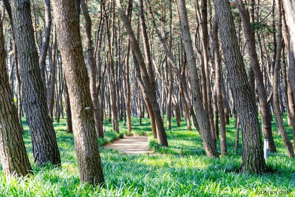 서천 가볼만한곳 베스트10