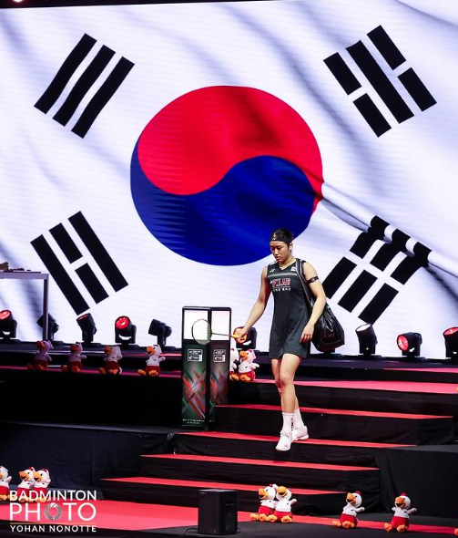 안세영 일본오픈