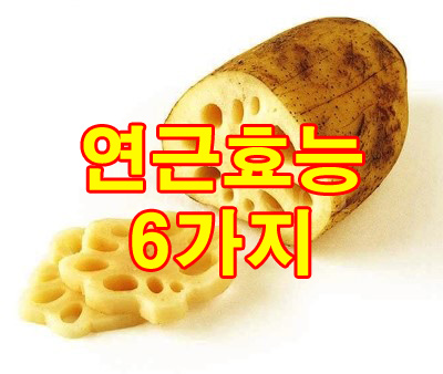 연근 효능 6가지