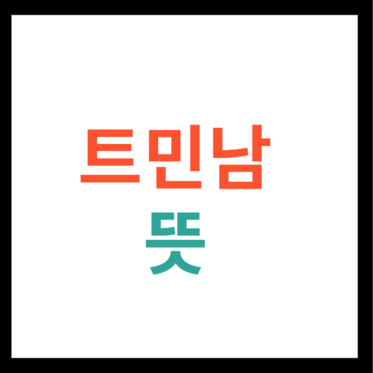 트민남 뜻