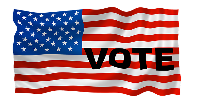 미국 대통령 선거 이미지