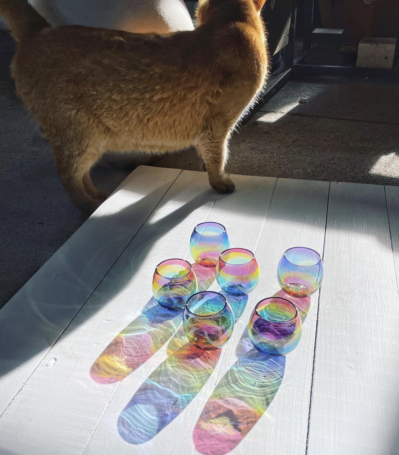 에도 키리코 스타 컷 사케 컵