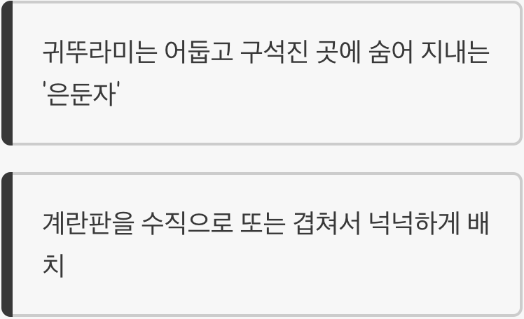 최고의 은신처&amp;#44; 계란판의 마법