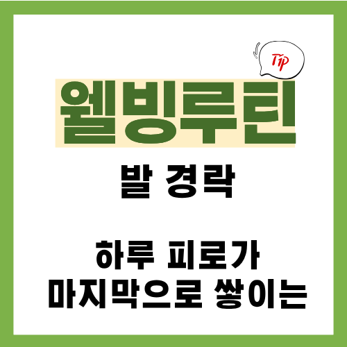 6편. 발 경락 관리|하루 피로가 마지막으로 쌓이는 곳