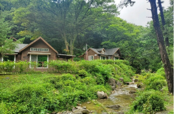 용인자연휴양림 4