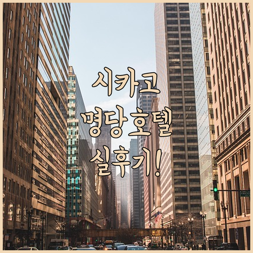 시카고 호텔 추천 위치별 특징과 실제..