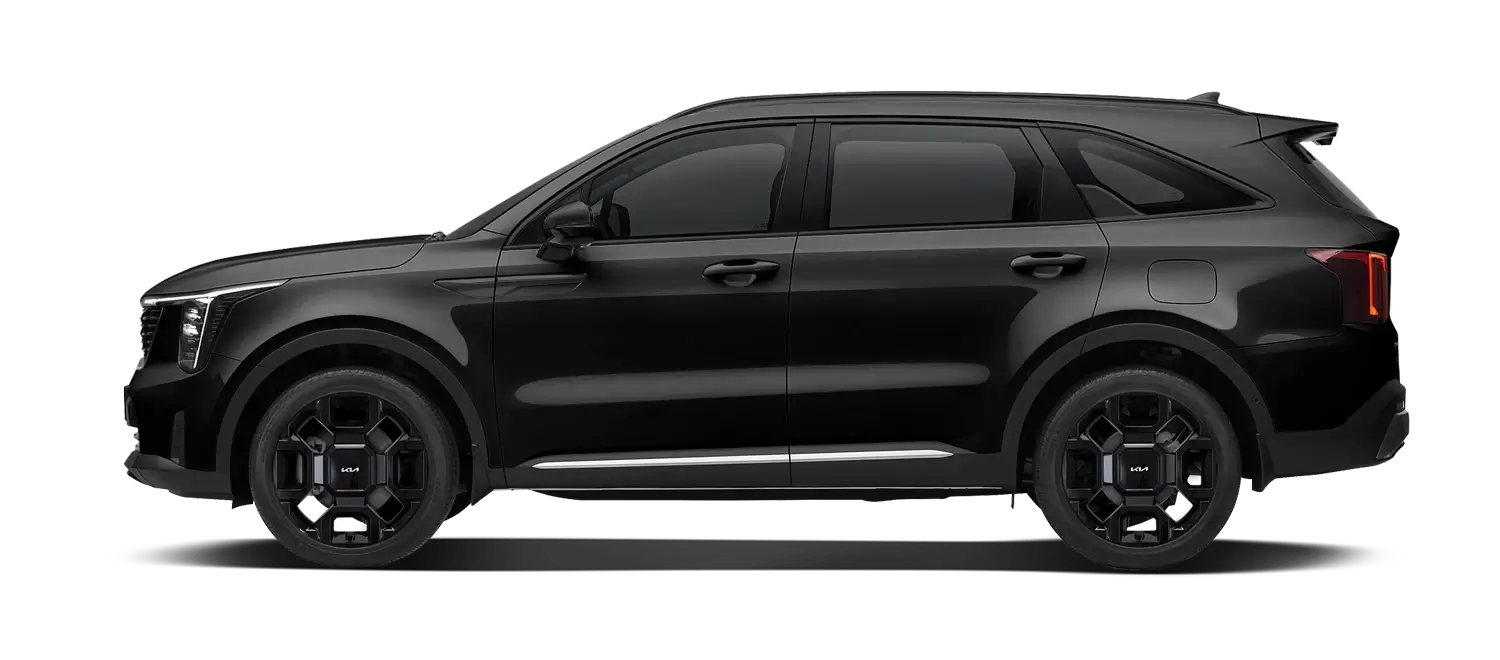 오로라-블랙-펄