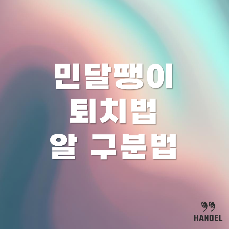 화분의 해충 민달팽이 퇴치법 알 구분법