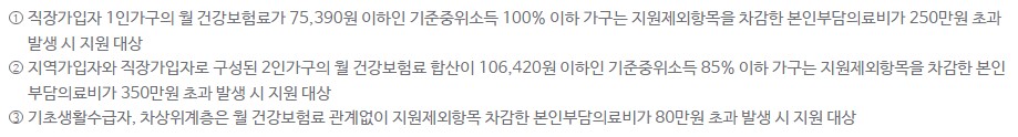 재난적의료비 지원사업 (1)
