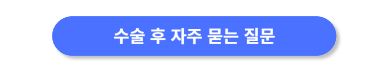 버튼