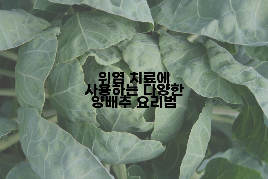위염 치료에 사용하는 다양한 양배추 요리법