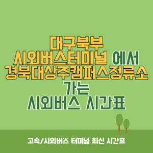 대구북부시외버스터미널에서 경북대상주캠퍼스정류소 가는 시외버스 시간표