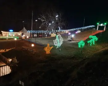 고니골 빛 축제_10