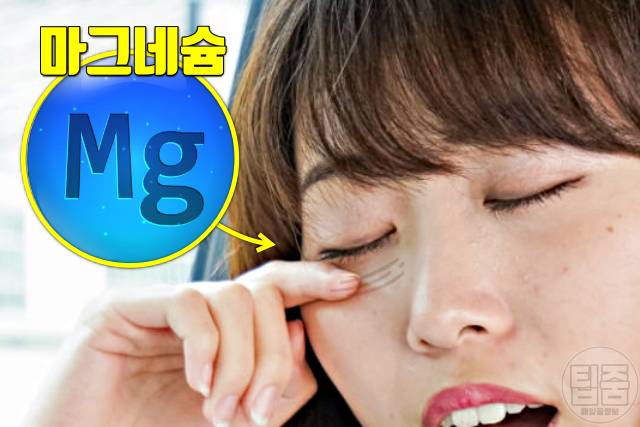 마그네슘 많은 음식 마그네슘 하루 권장량 부작용