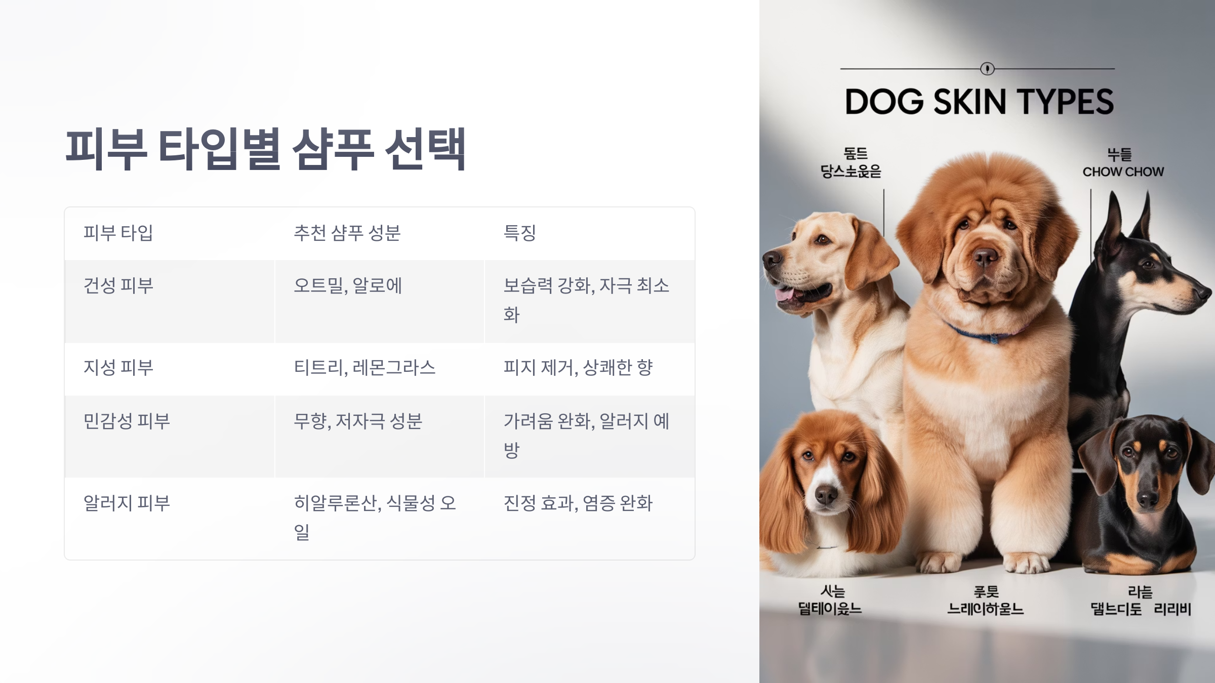 참조-반려견-샴푸-3