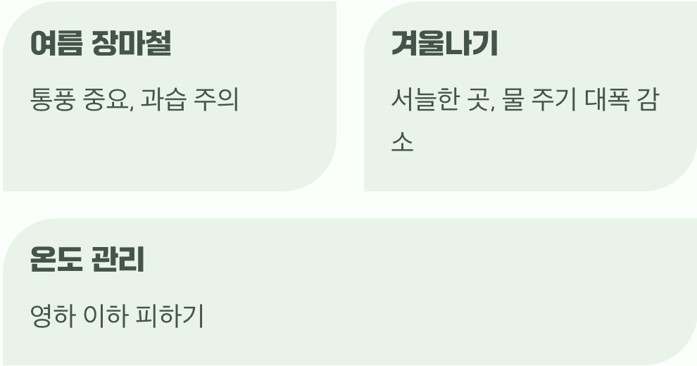 네 번째 과제, 튼튼한 여름, 따뜻한 겨울나기