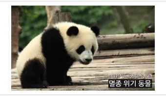 멸종 위기 동물 증가 원인과 환경 문제 분석_19