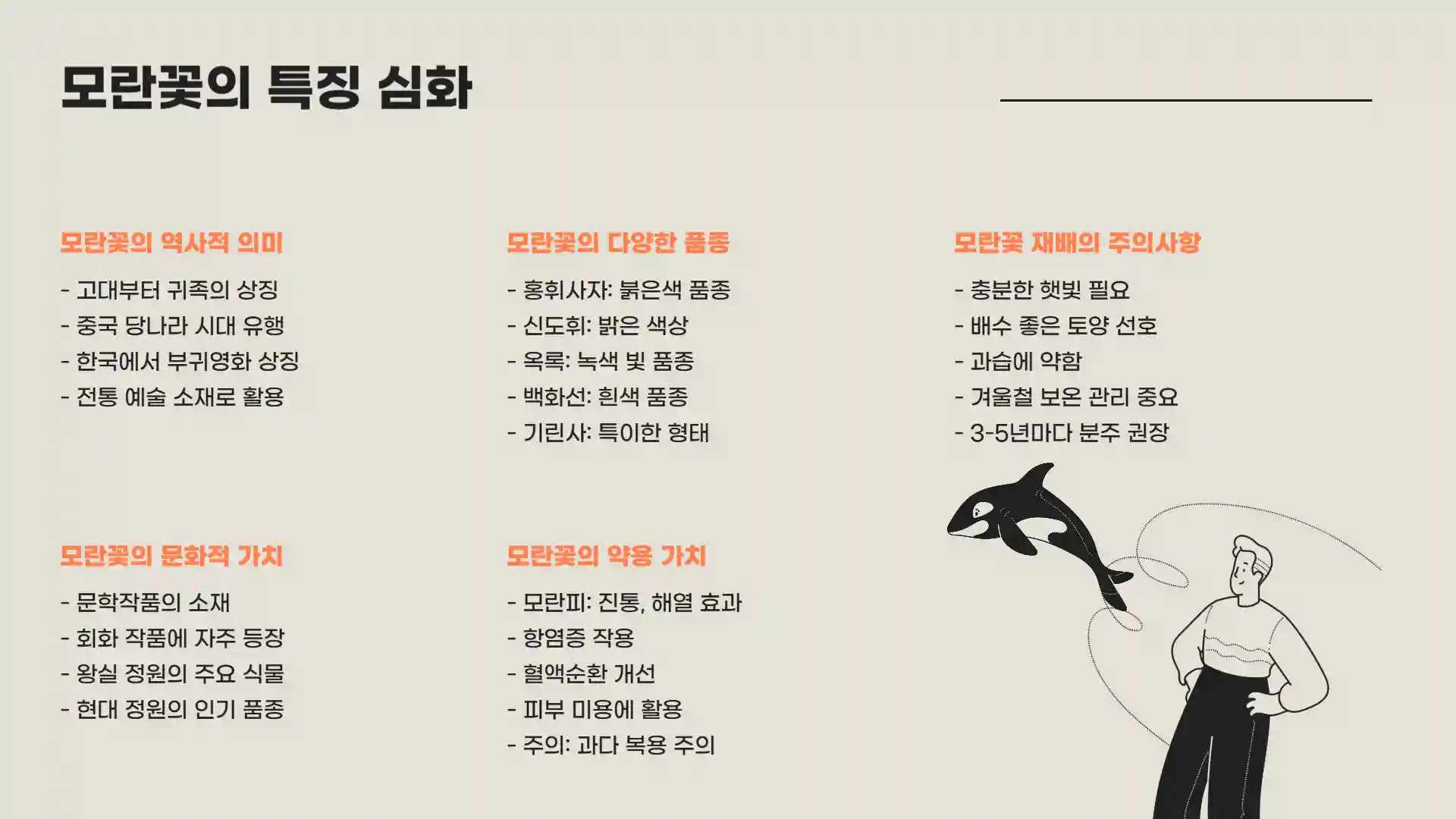 모란꽃과 작약꽃