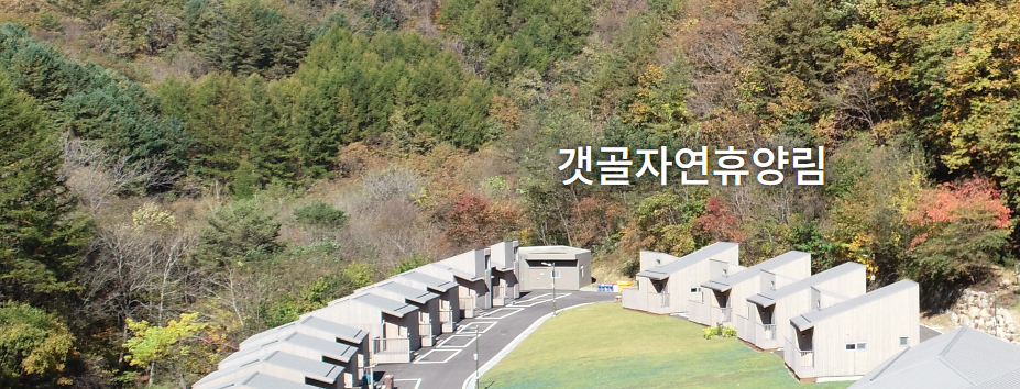 국립자연휴양림 예약방법, 오픈시간, 취소표 잡는 법, 성수기 꿀팁, 총정리!