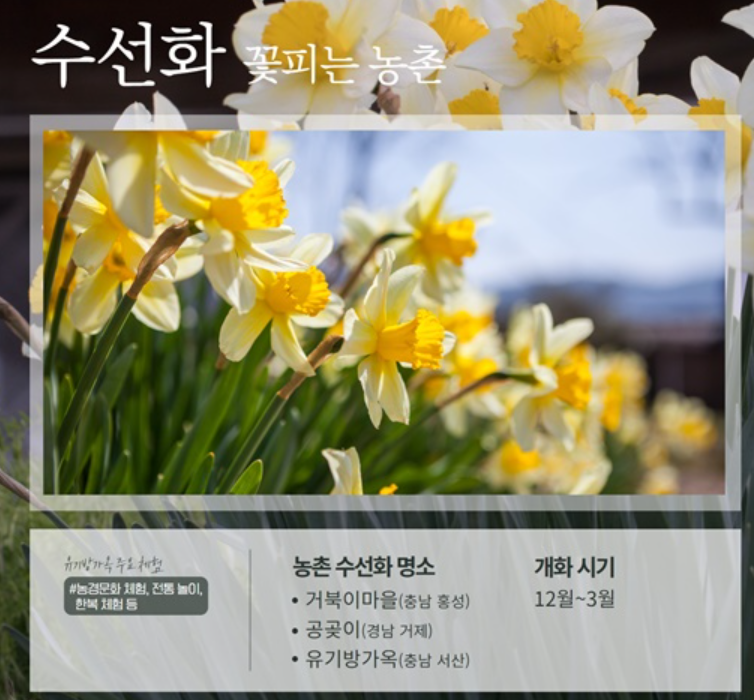 etc-image-5