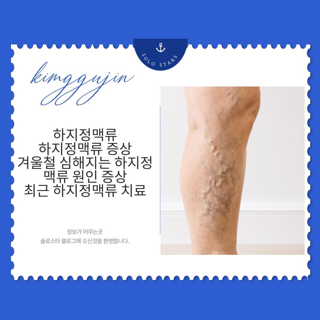 하지정맥 사진